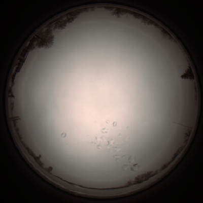 capture_202112051131_1103.Png