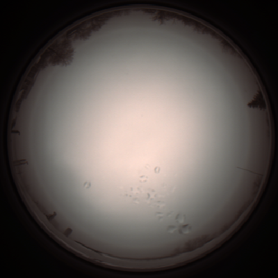 capture_202112051205_1137.Png