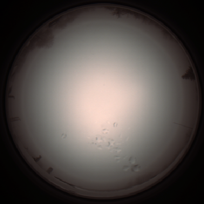 capture_202112051244_1176.Png