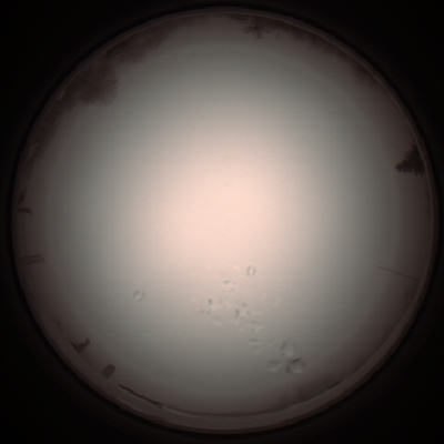 capture_202112051259_1191.Png