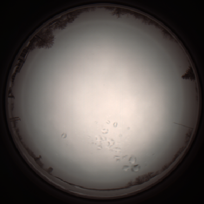 capture_202112051118_1090.Png