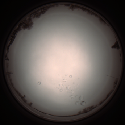 capture_202112051132_1104.Png