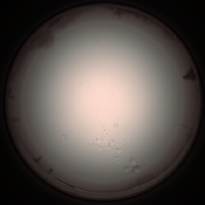 capture_202112051305_1197.Png