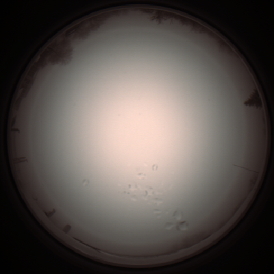 capture_202112051304_1196.Png