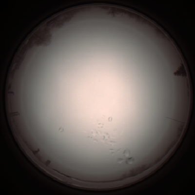 capture_202112051203_1135.Png