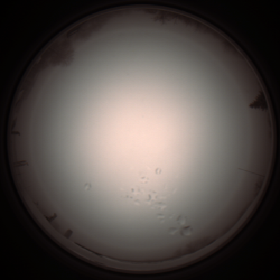 capture_202112051253_1185.Png