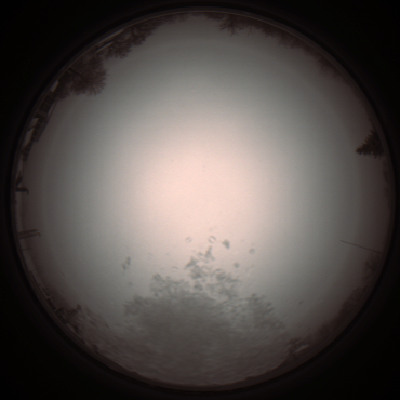 capture_202112051029_1041.Png