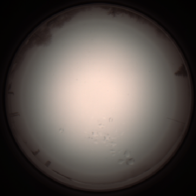 capture_202112051309_1201.Png
