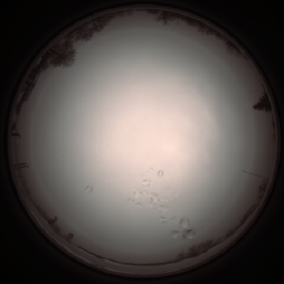 capture_202112051153_1125.Png