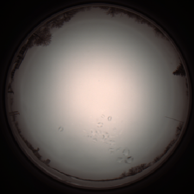 capture_202112051147_1119.Png