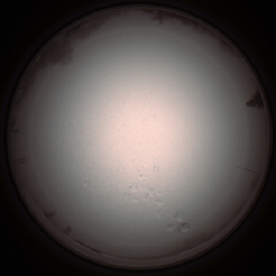 capture_202112051331_1223.Png