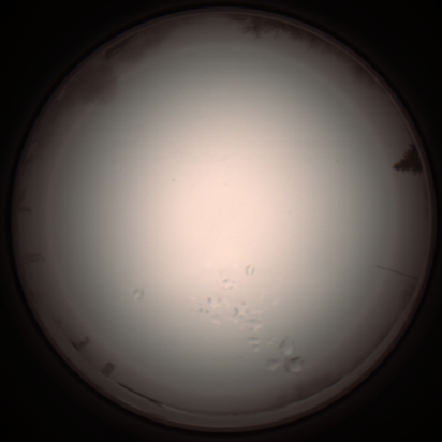 capture_202112051310_1202.Png