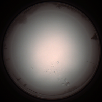 capture_202112051224_1156.Png