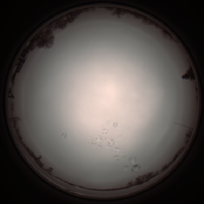 capture_202112051142_1114.Png
