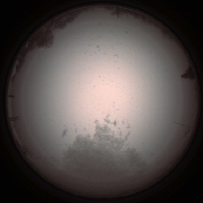 capture_202112050819_911.Png