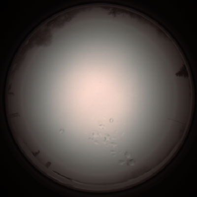 capture_202112051246_1178.Png