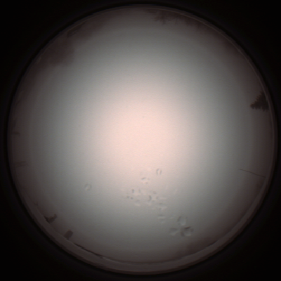 capture_202112051327_1219.Png