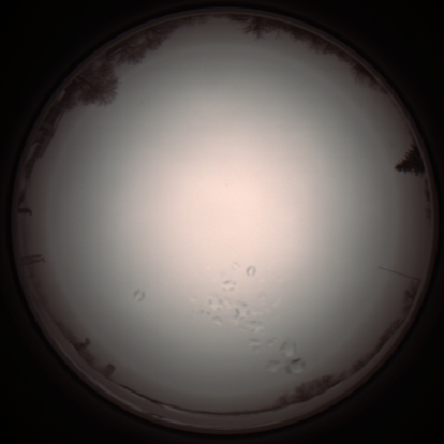 capture_202112051155_1127.Png