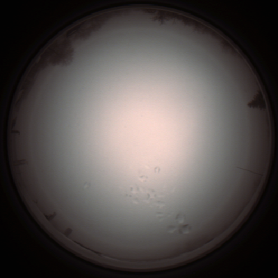 capture_202112051328_1220.Png