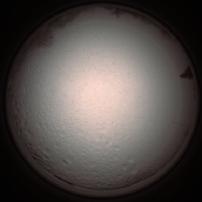 capture_202112051346_1238.Png