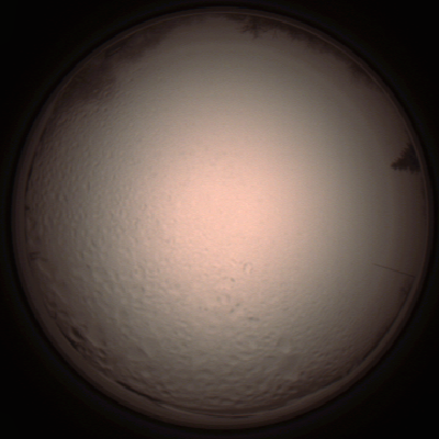 capture_202112051521_1333.Png
