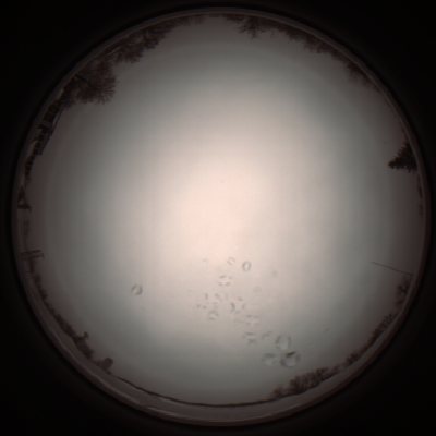 capture_202112051125_1097.Png