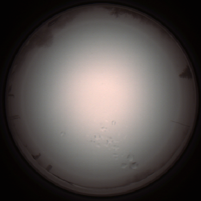 capture_202112051326_1218.Png