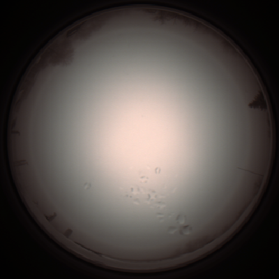 capture_202112051252_1184.Png