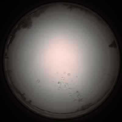 capture_202112051057_1069.Png