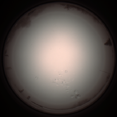 capture_202112051303_1195.Png