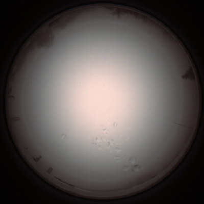 capture_202112051315_1207.Png