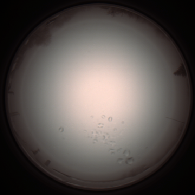 capture_202112051105_1077.Png