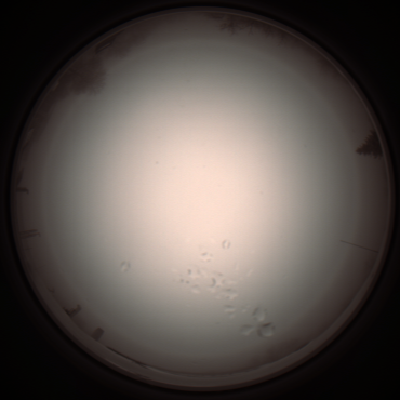 capture_202112051308_1200.Png