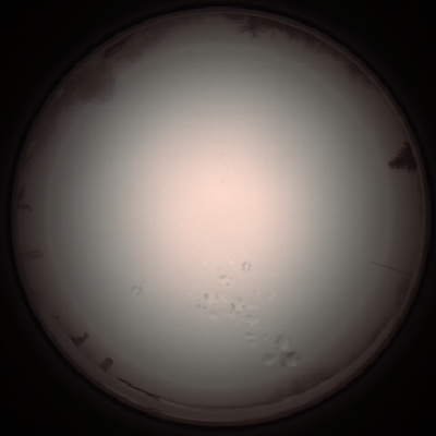 capture_202112051247_1179.Png