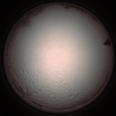 capture_202112051420_1272.Png