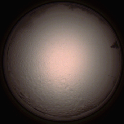 capture_202112051528_1340.Png