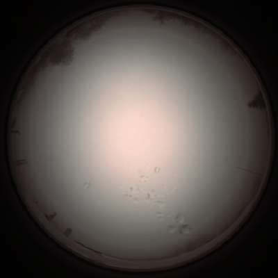 capture_202112051249_1181.Png