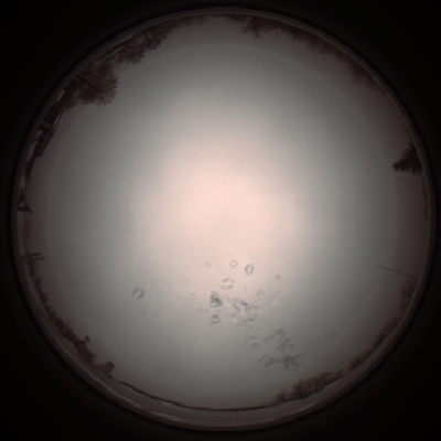 capture_202112051055_1067.Png