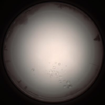 capture_202112051109_1081.Png