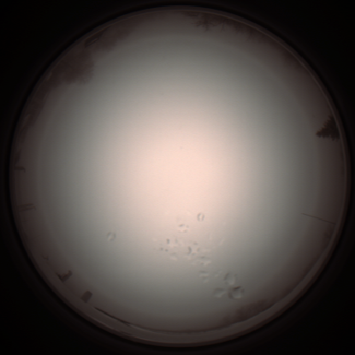 capture_202112051256_1188.Png