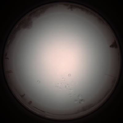 capture_202112051213_1145.Png