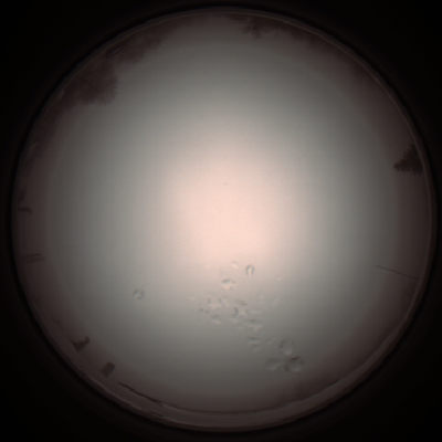 capture_202112051233_1165.Png