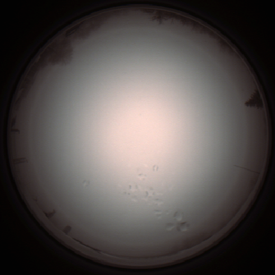 capture_202112051325_1217.Png