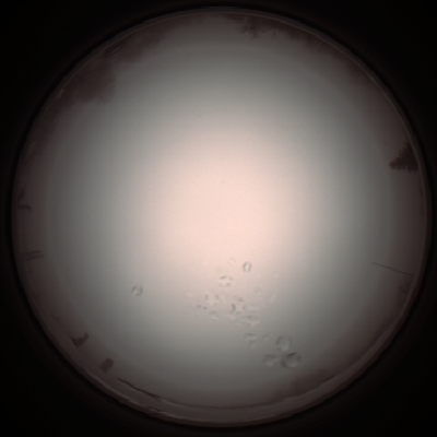 capture_202112051209_1141.Png