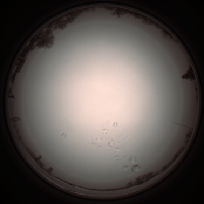 capture_202112051151_1123.Png