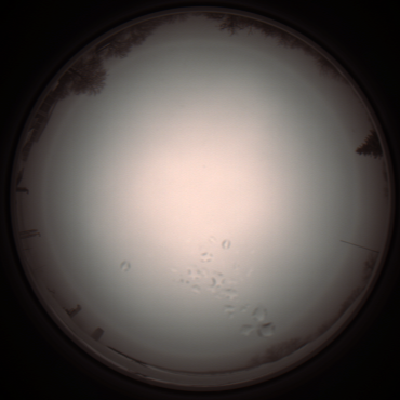 capture_202112051206_1138.Png
