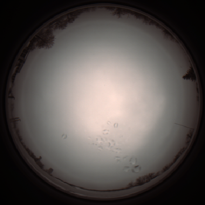 capture_202112051141_1113.Png
