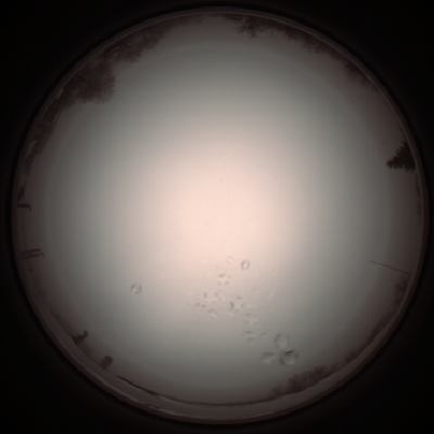 capture_202112051204_1136.Png