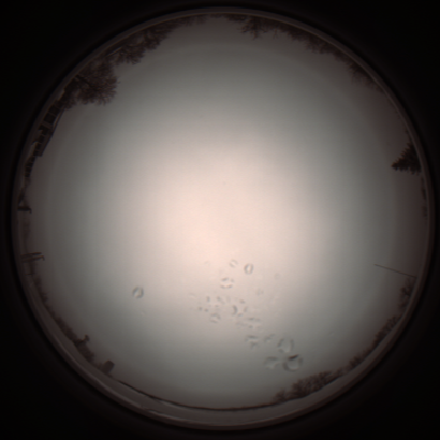 capture_202112051135_1107.Png