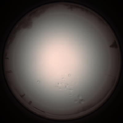 capture_202112051245_1177.Png